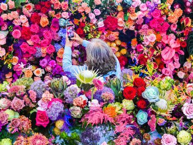 Hortiflorexpo