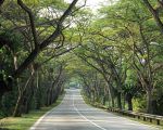 Movilidad