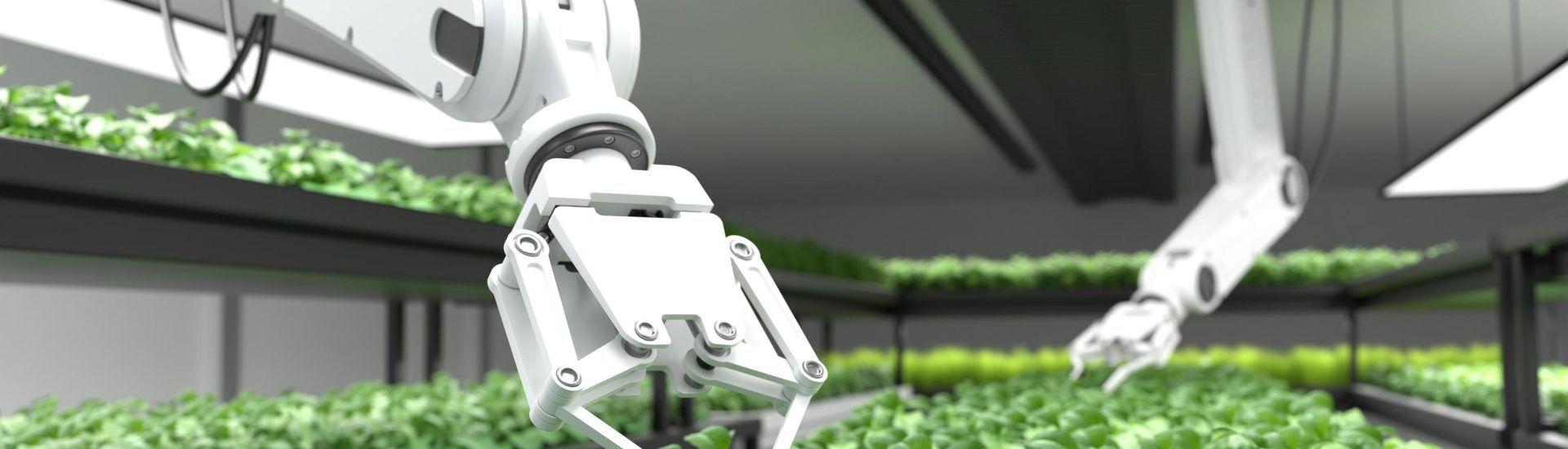 agricultura inteligente
