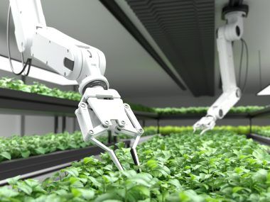 agricultura inteligente