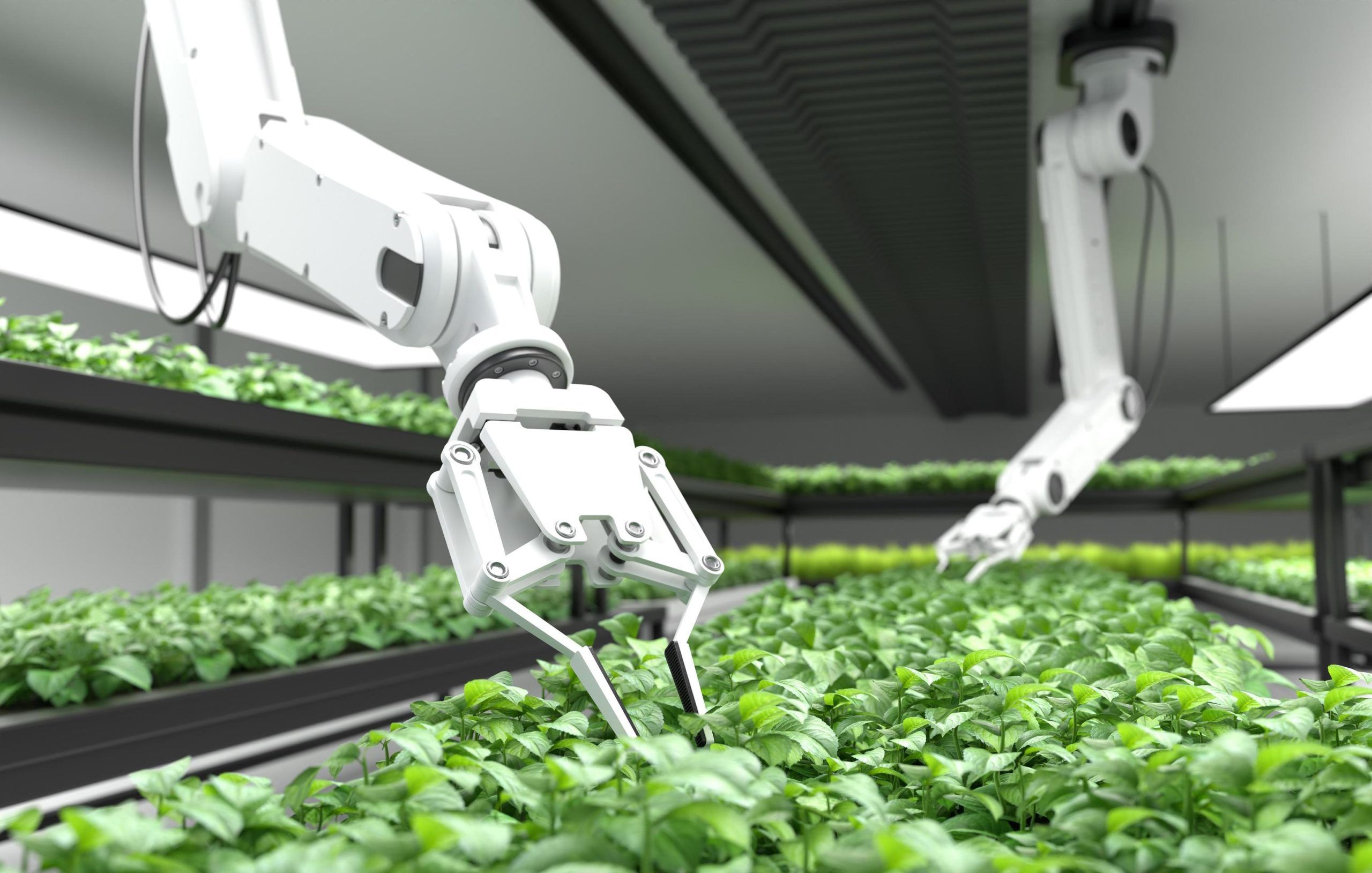 agricultura inteligente
