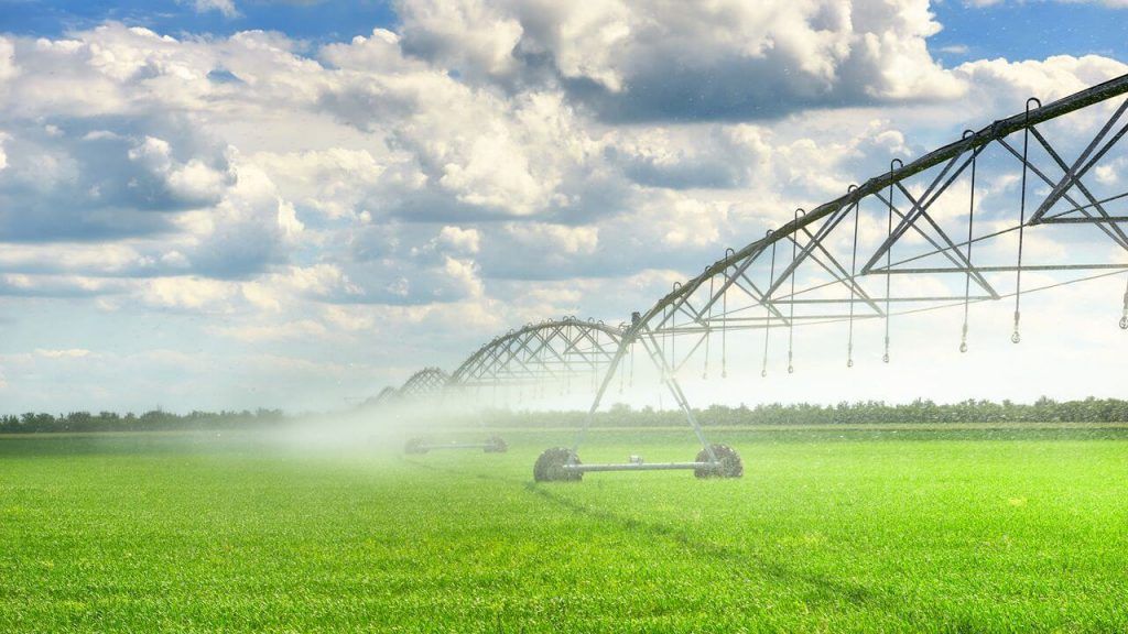 agricultura