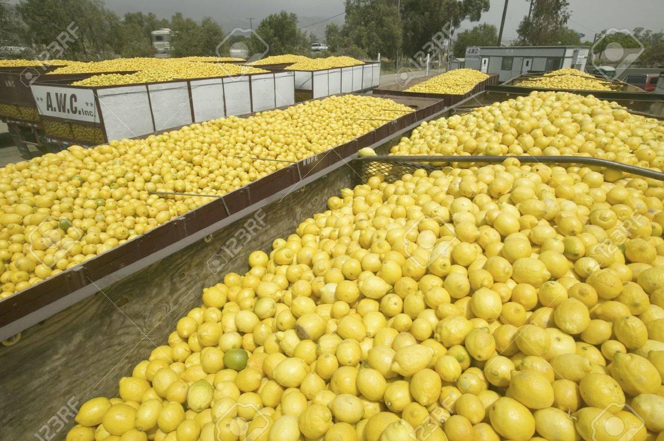 industria limón Grupo Ruiz exportación limones Seabird Argentina