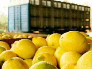 limones