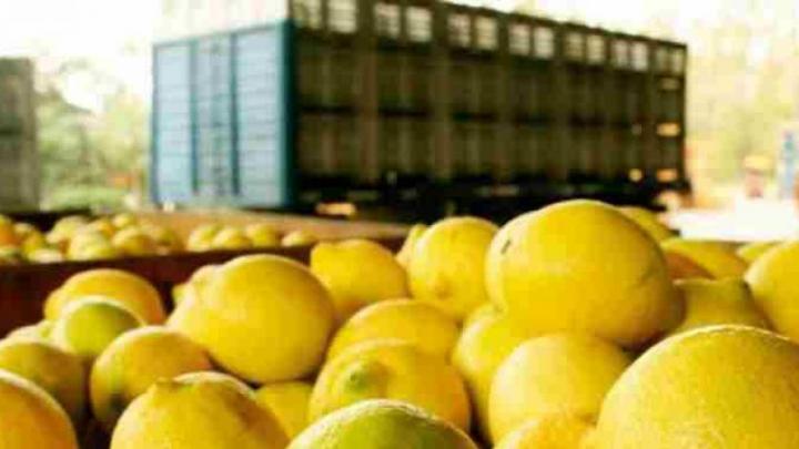 limones