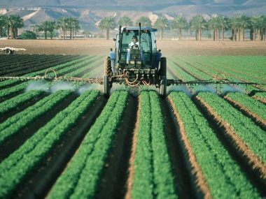 innovaciones agroindustria argentina Grupo Ruiz Diego Ruiz Juárez