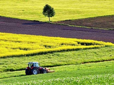 agroindustria