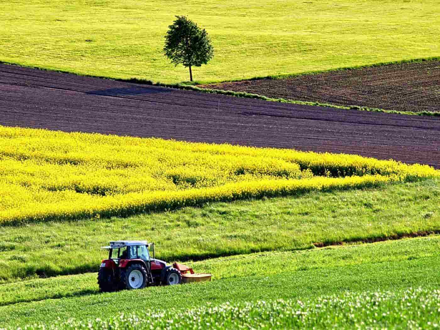 agroindustria