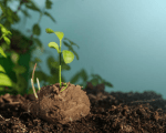 cambio climático
