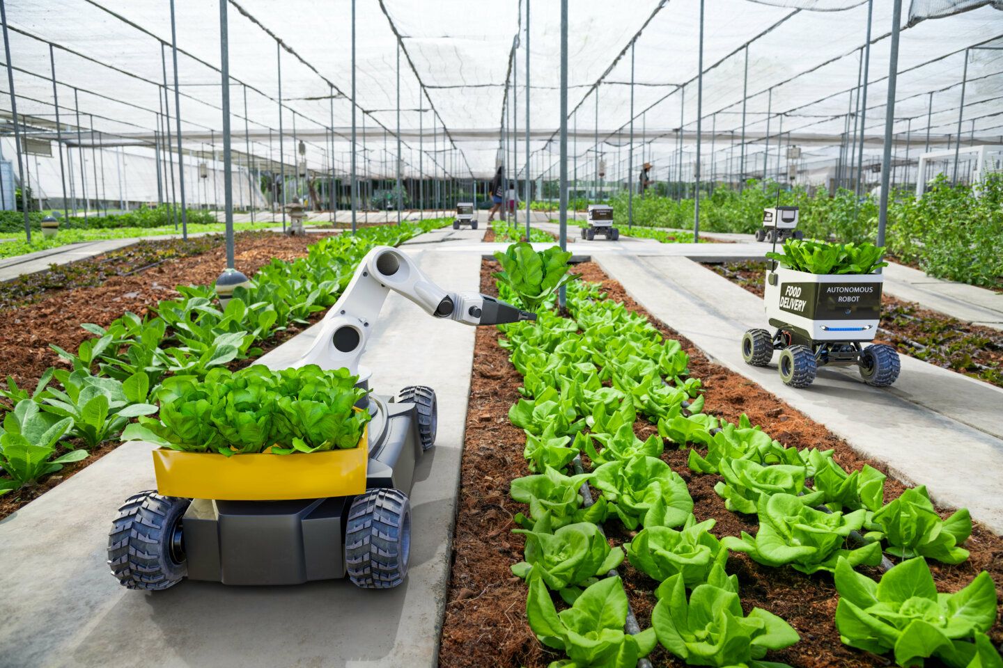 agricultura