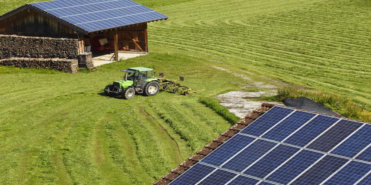 agroindustria agricultura Tucumán