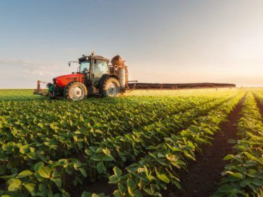 agricultura