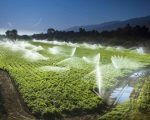 agricultura