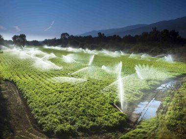 agricultura
