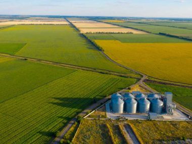 agricultura
