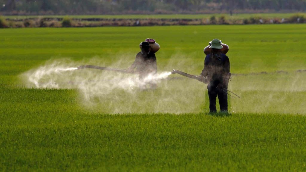 agricultura