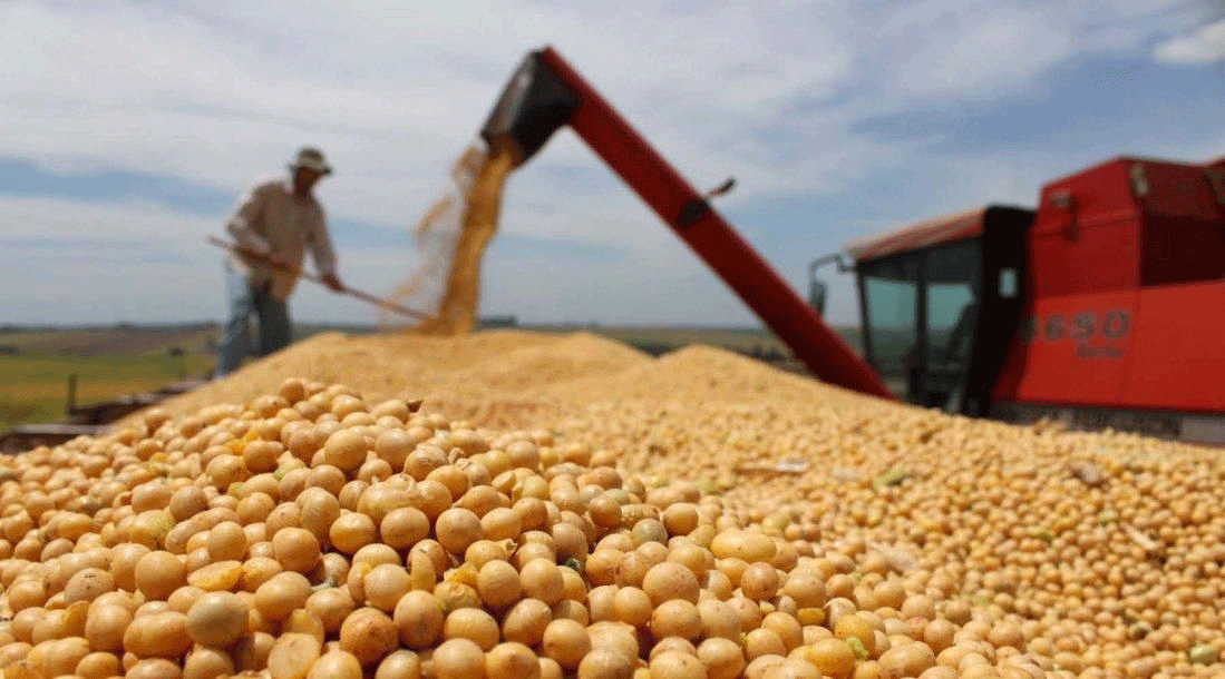 agroindustria 