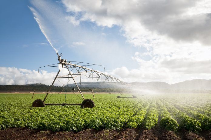 agricultura
