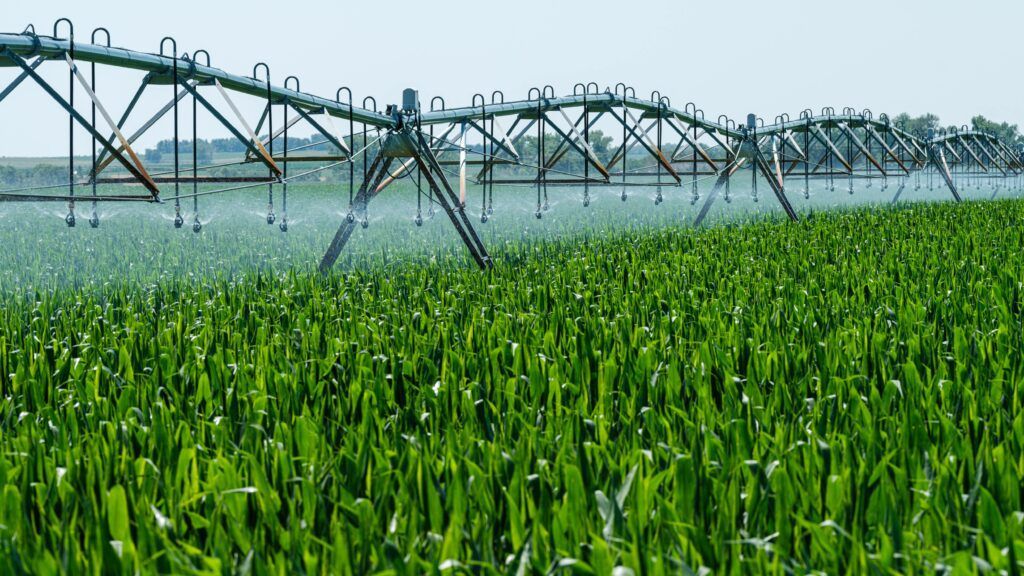 agricultura