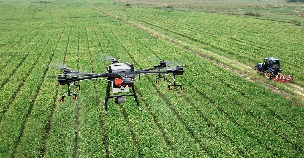 agroindustria