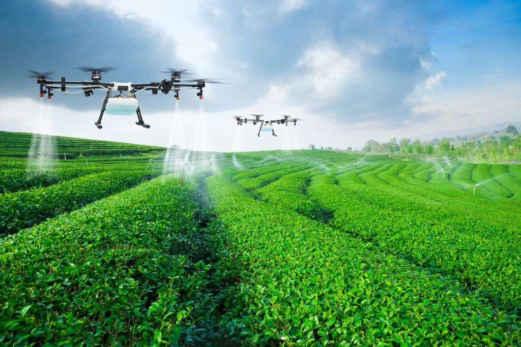 agricultura