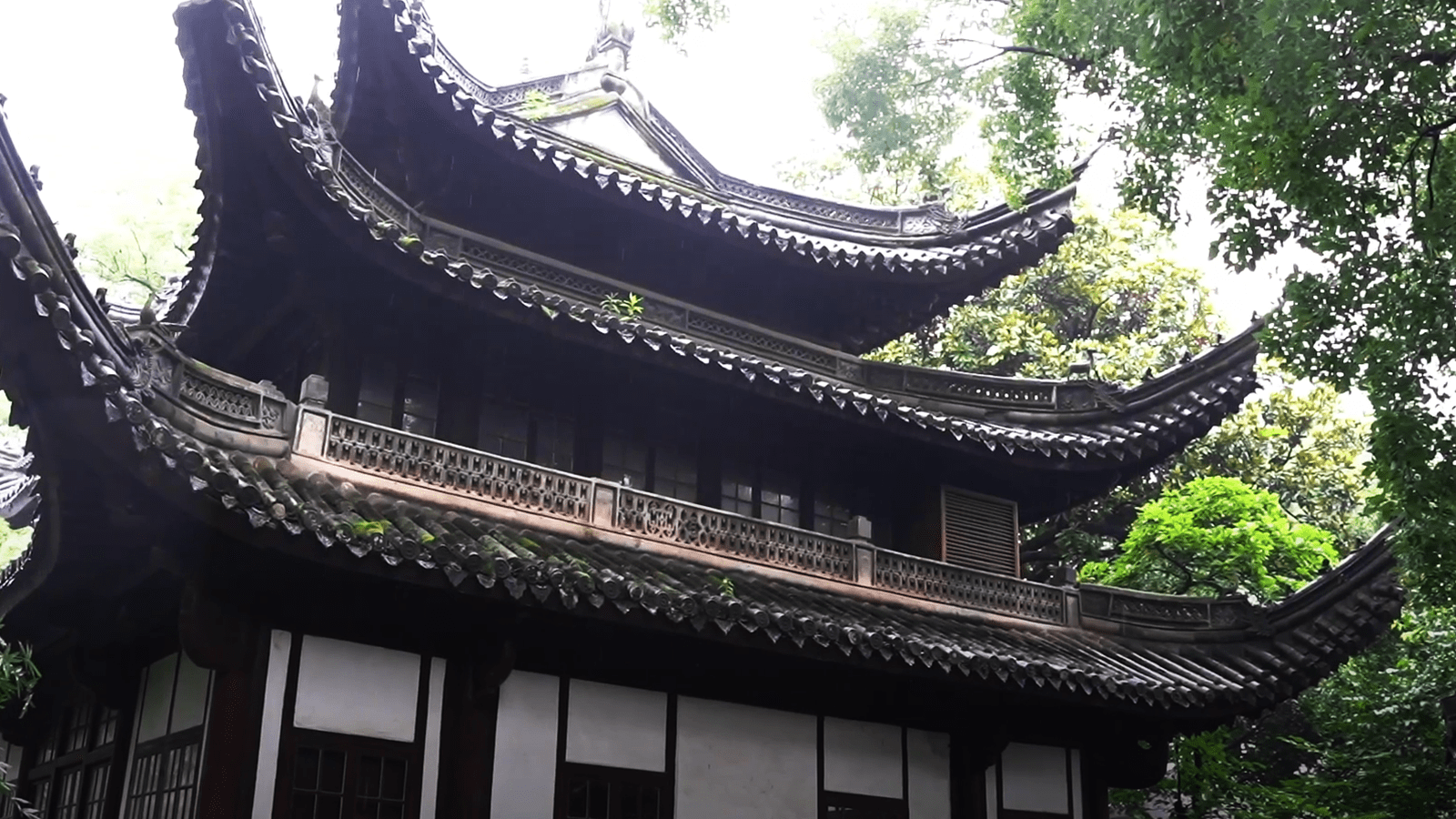 Biblioteca Tianyi
