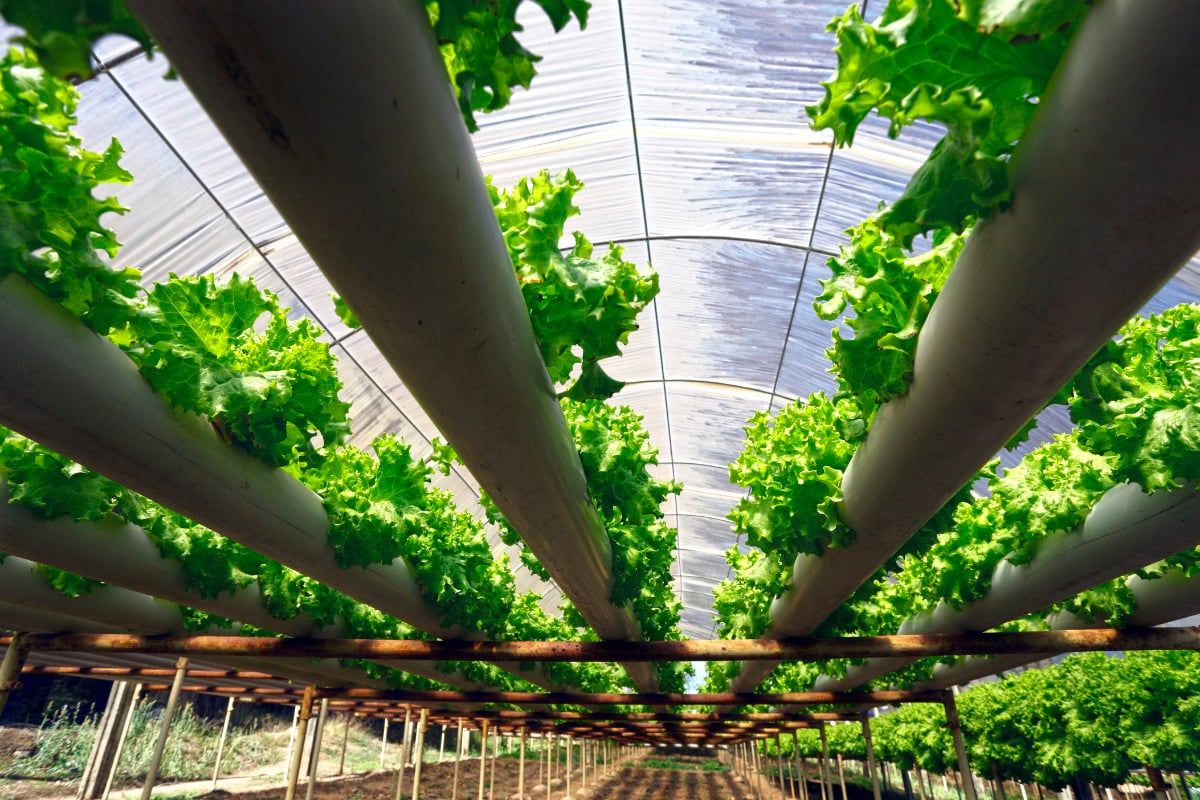 agricultura