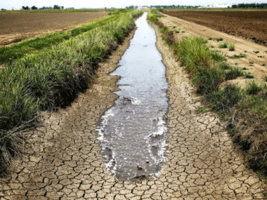 agricultura