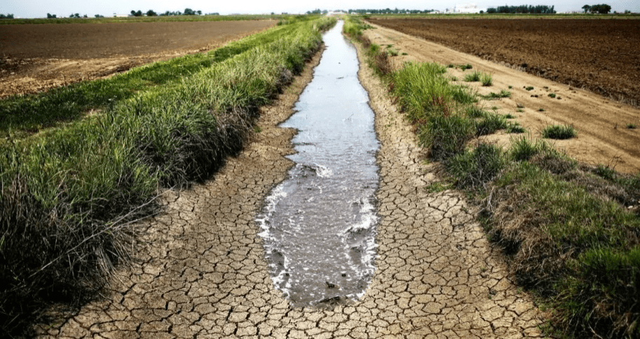 agricultura