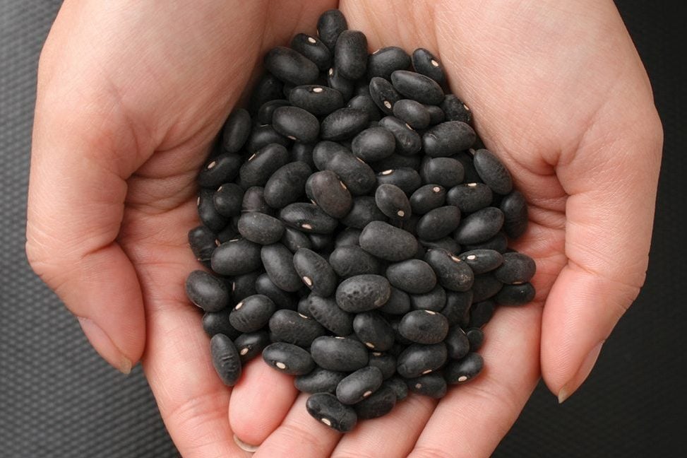 porotos