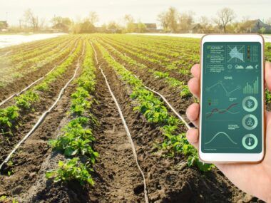 Agricultura