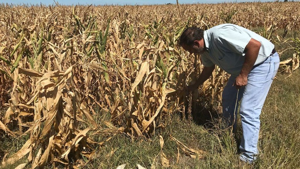 agricultura