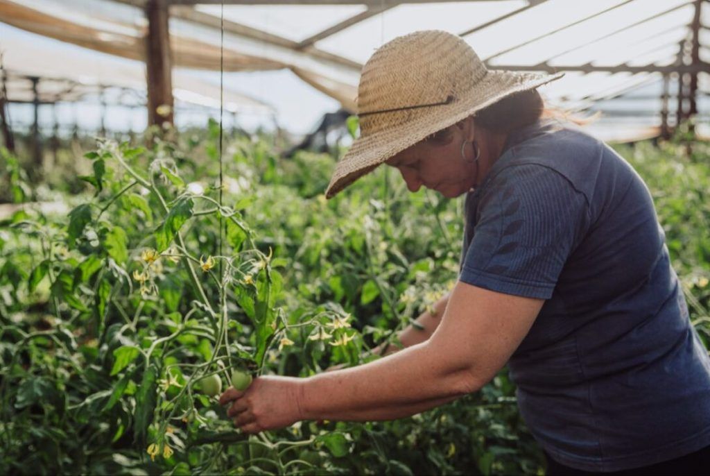 agricultura