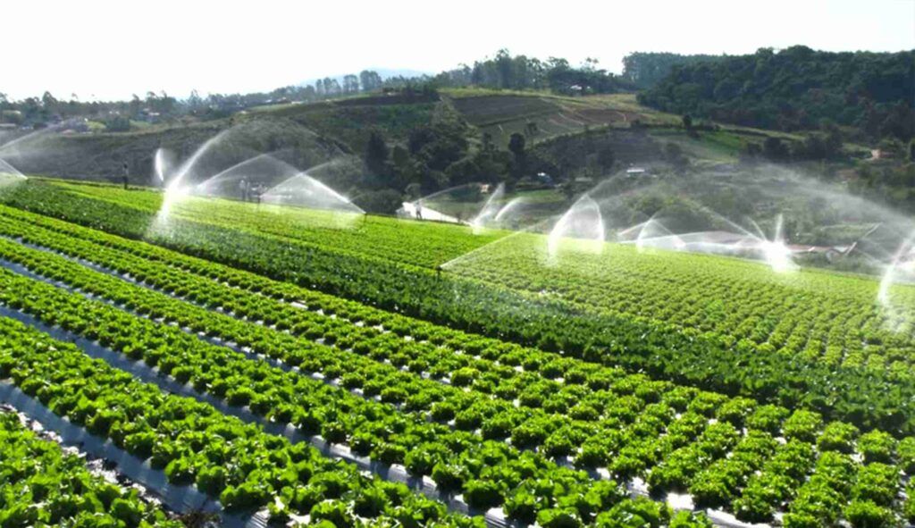 agricultura