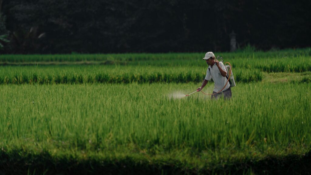agricultura