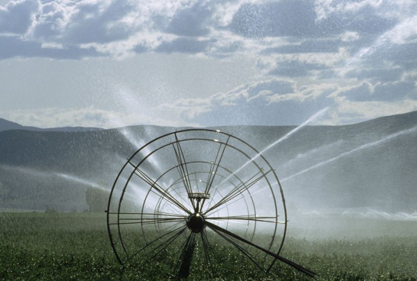 agricultura