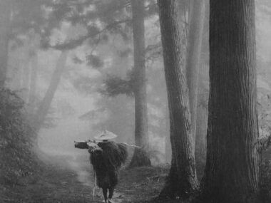 Kurokawa Suizan, 1906. Fuente: Instagram