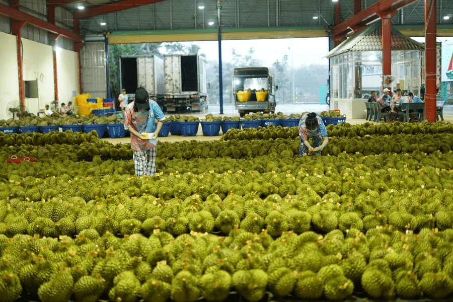 Vietnam China
