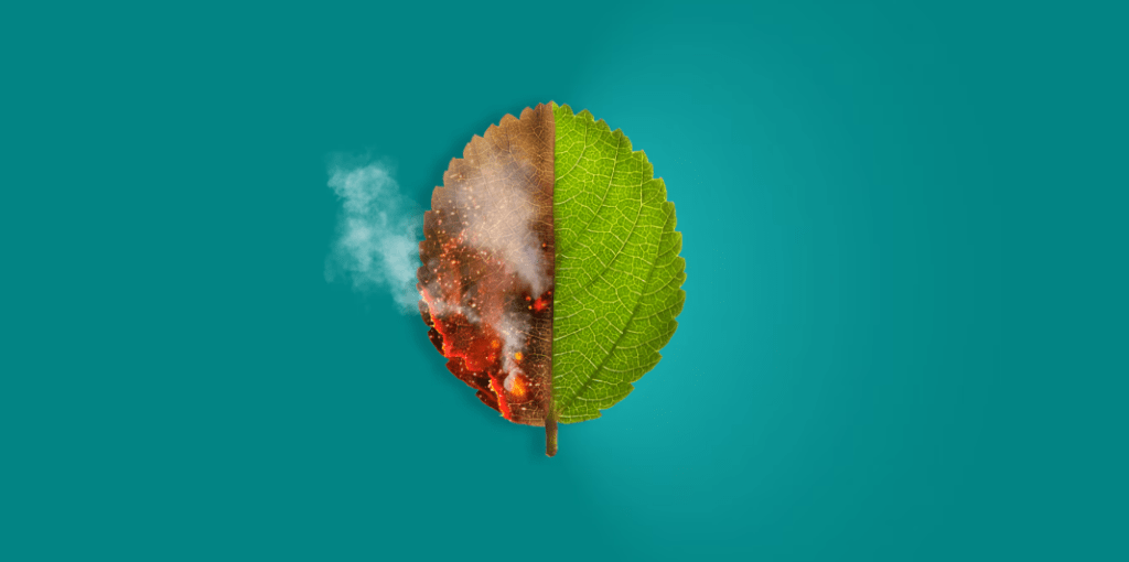 Cambio climático