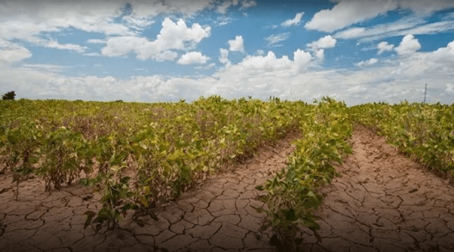 Cambio climático