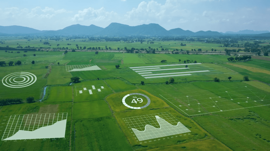 Big Data Agricultura