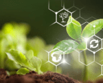 Big Data Agricultura