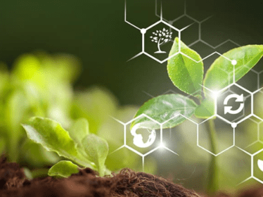 Big Data Agricultura