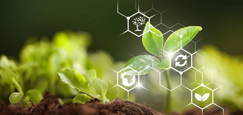Big Data Agricultura