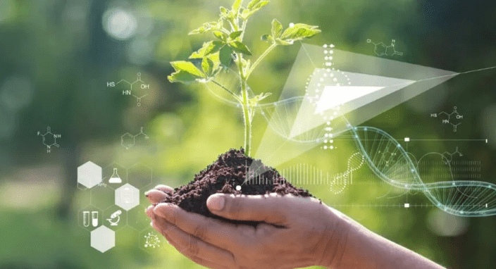 Big Data Agricultura