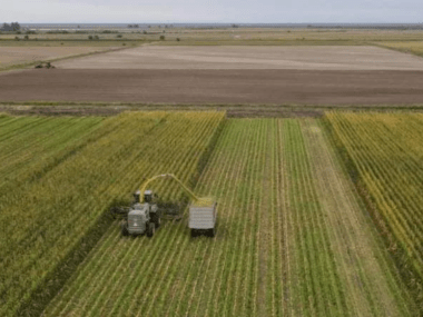 agricultura