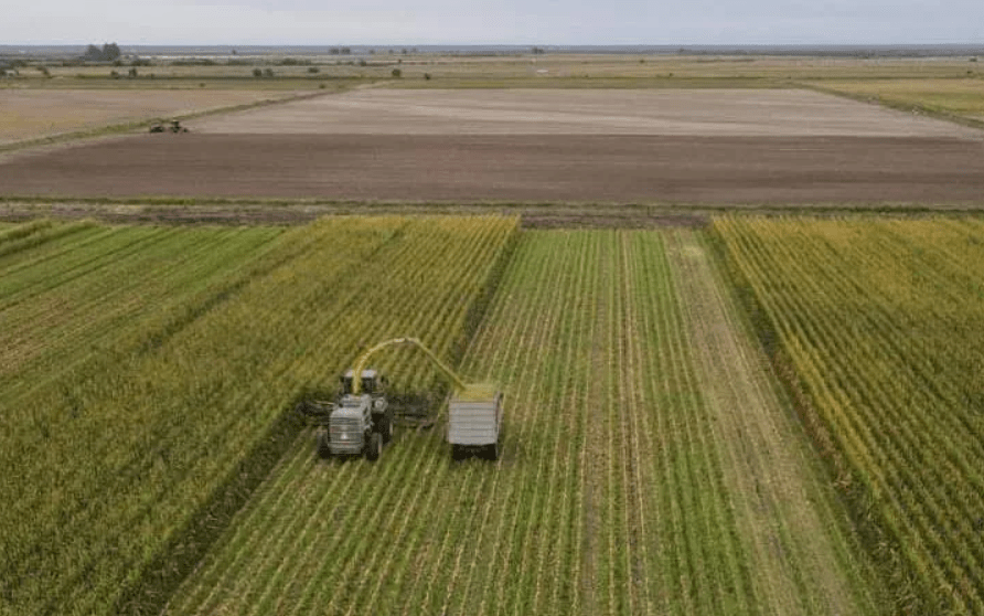 agricultura