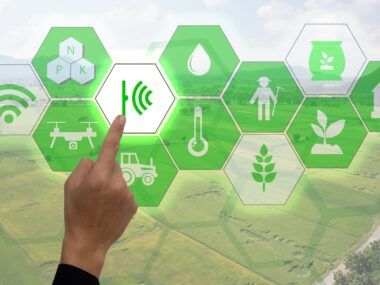 agroindustria