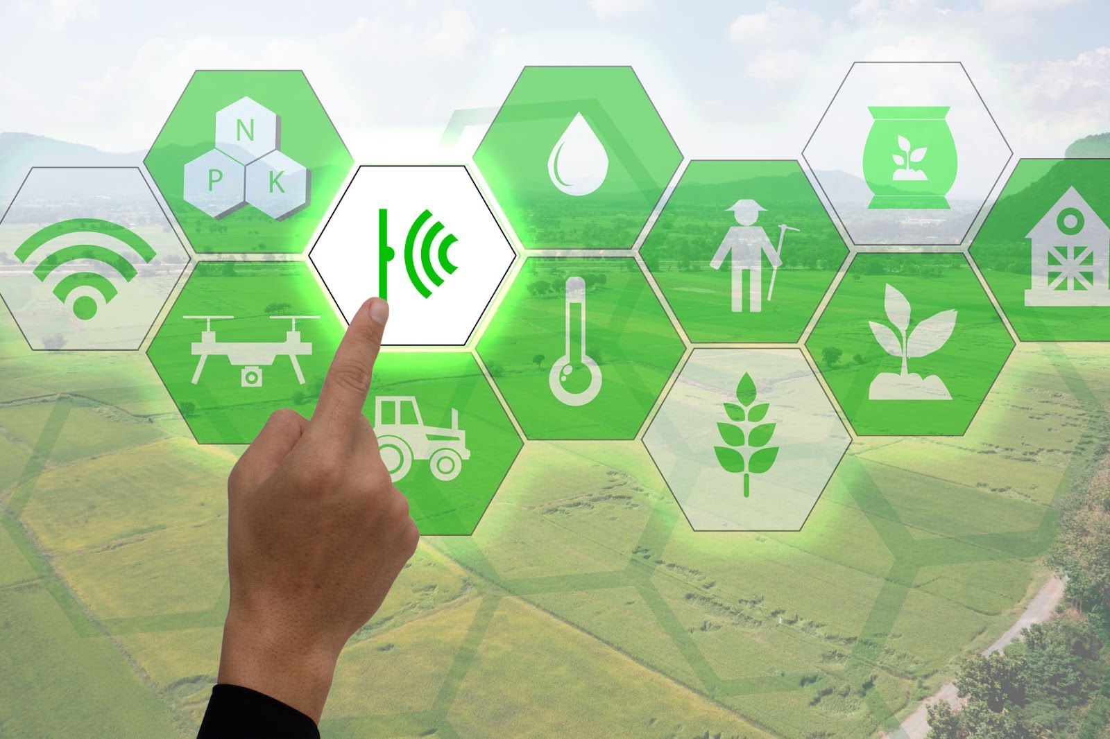 agroindustria