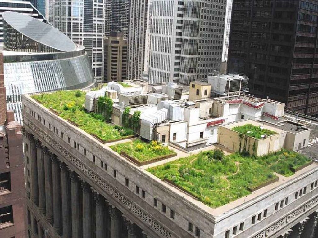 Agricultura urbana